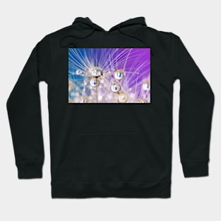 Violet Dandelion Sparkles Hoodie